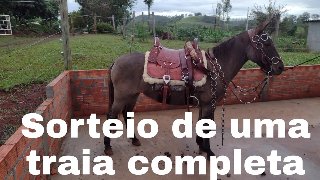 Traia-Completa-Para-Muares