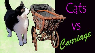Cats find MAGIC inside Carriage - Catio CAT Life by Our Catio Home 289 views 5 months ago 1 minute, 55 seconds