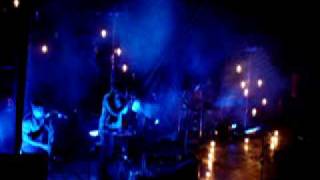 Grizzly Bear - Foreground