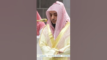 تلاوة من#سورة_النساء #الشيخ_الوليد_الشمسان #الحرم_المكي #مكة_المكرمة #الحرم_النبوي #المدينة