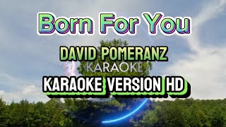 Born for you - David Pomeranz (karaoke version HD)🎤