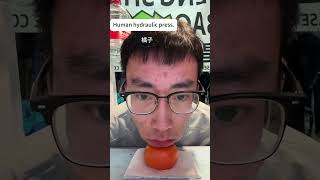 This Is So Funny L Couldnt Stop Laughing funnydoddlersoftiktok funnystrending