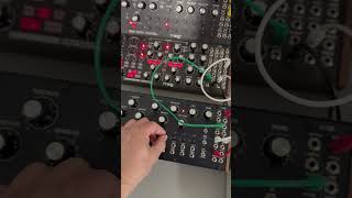 Moog DFAM, Sub Harmonicon, Spectravox, Behringer RD9 #semimodular #electronicmusic #synthjam