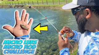 Micro Lure on a Micro Fishing Rod Challenge!!!