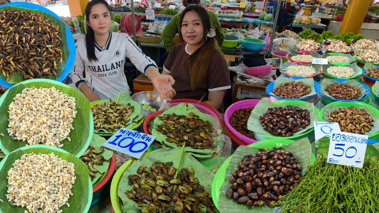 ตลาดอาหารป่า มุกดาหาร | ฮวก จั๊กจั่น แมงแคง ไข่มดแดง