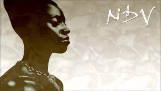 Skye Edwards - Not Broken (Nobodi da Vinylist REMIX)