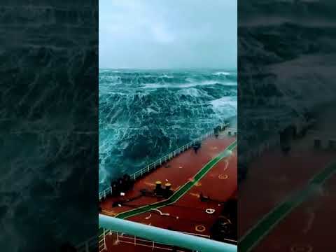 موسيقي اغنيه سنين شايفك في احلامي