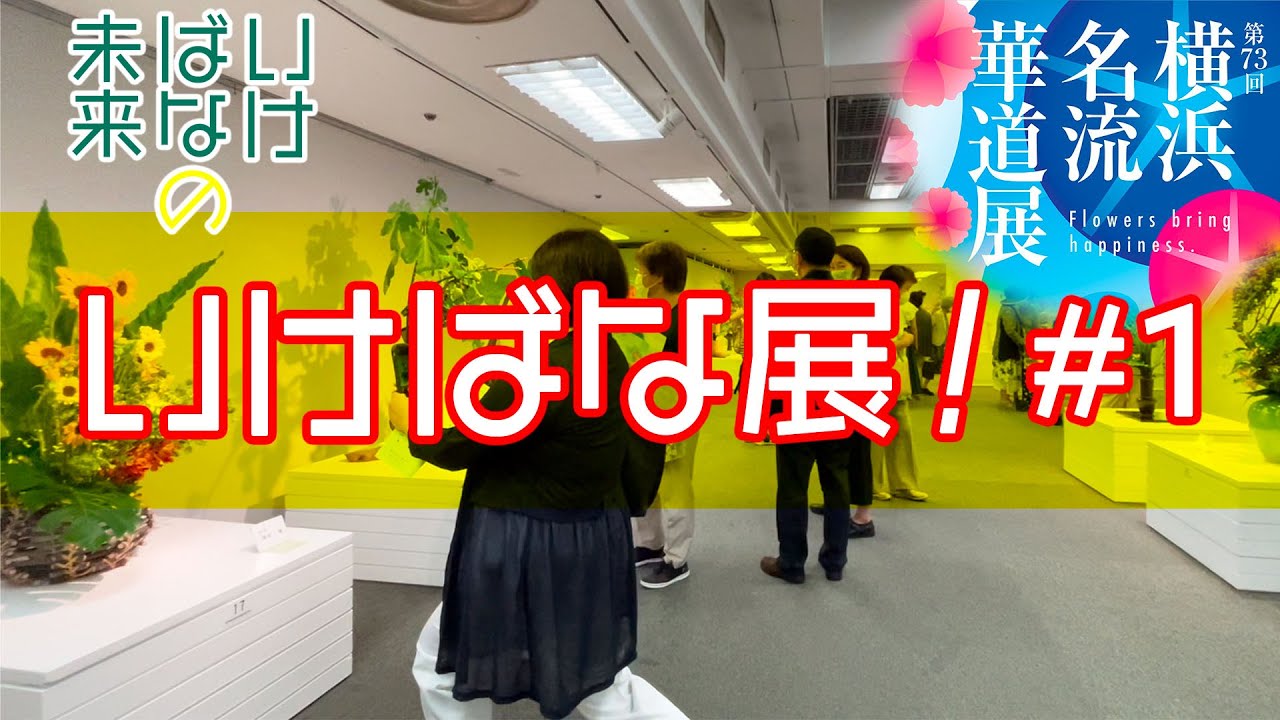 【いけみら】いけばな展！〜第73回 横浜名流華道展〜 Let’s visit the Ikebana Exhibition, 73th Yokohana Meiryu Kado Exhibition