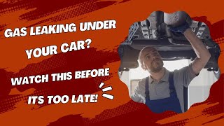 Famous Gas Leaking Under Your Car? Watch This Before It's Too Late! Wealth