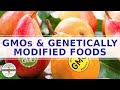 GMO Insights and Impacts on Food Safety and Agriculture