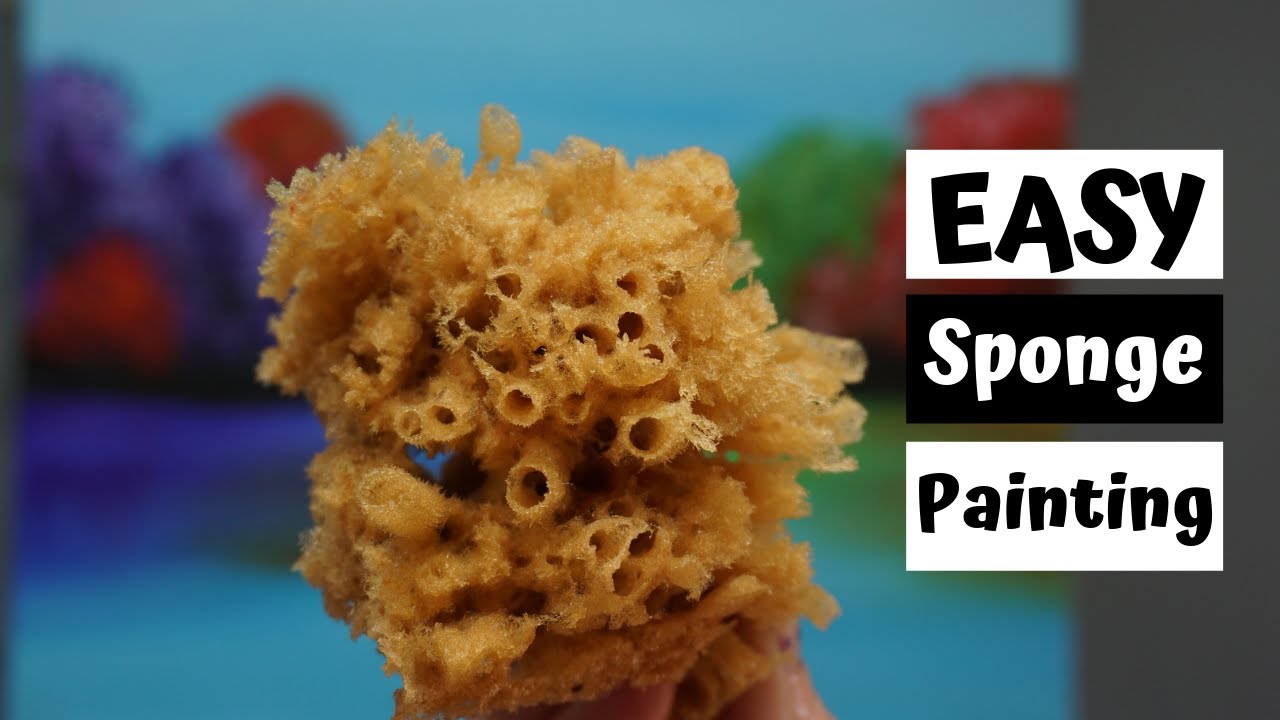 Aphrodite Natural Sea Sponges - Product Demo 