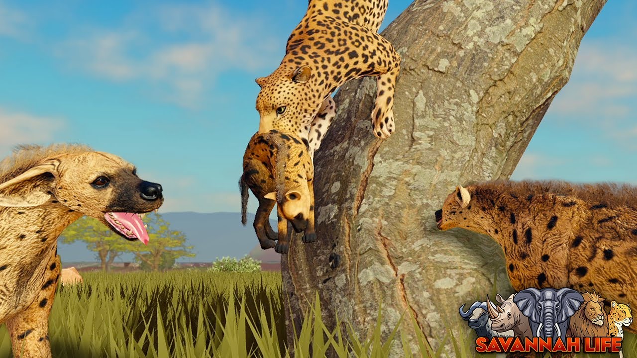 Леопард загнался на дерево кланом гиен! | ROBLOX Savannah Life