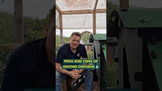 Pros and Cons of having chickens in your allotment  #shorts  #chickencoop #chickenkeeping #homestead