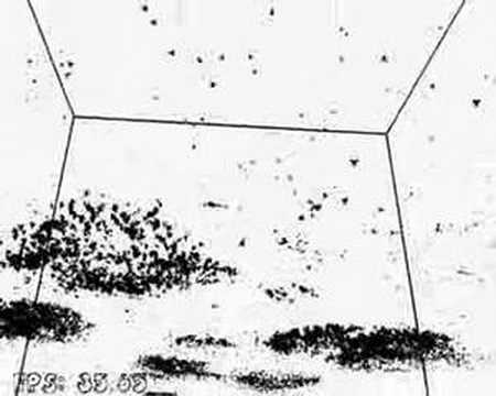 7935 Boids simulation in a GeForce8800GT