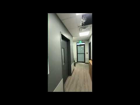 Dogtopia Final - YouTube