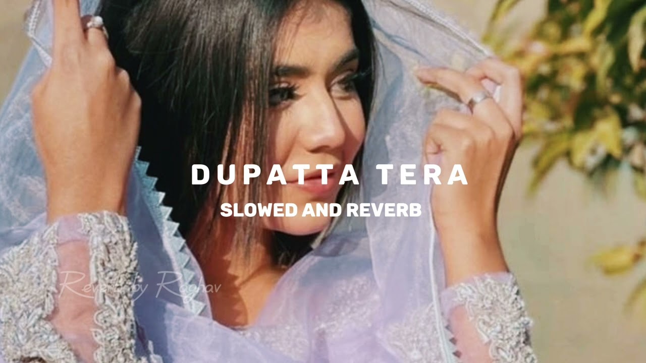 Dupatta Tera || Slowed Reverb || Reverb by Raghav