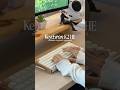 Keychron K2 HE #keychron #keyboardasmr #keyboard #gamingkeyboard #keyboardasmr #keyboardgaming