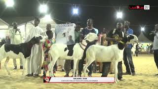 SALADEL 2026 CONCOURS FINALS ET RESULTATS AGNELLES AGNEAUX