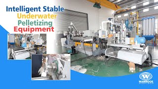 400-500kg/h 0.4-0.7mm micro-pellets Underwater Pelletizing Machine for PE,PP,PS,EPS,PLA,PBS,PGA,PBAT