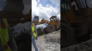 Water Turkey Rescue2