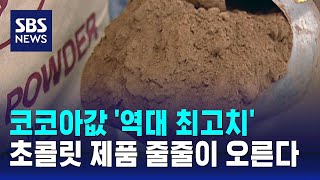 코코아값 폭등 여파…초콜릿 제품 줄줄이 오른다 / SBS