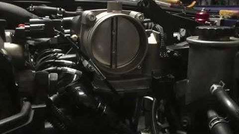 Dbw test using Haltech Elite