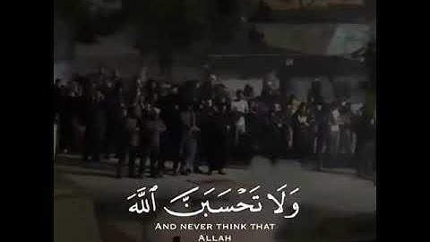 "ولا تحسبن الله غافلا عما يعمل الظالمون"🤲 اللهم انصر اخواننا في فلسطين 😪 تلاوة عبد الرحمن مسعد