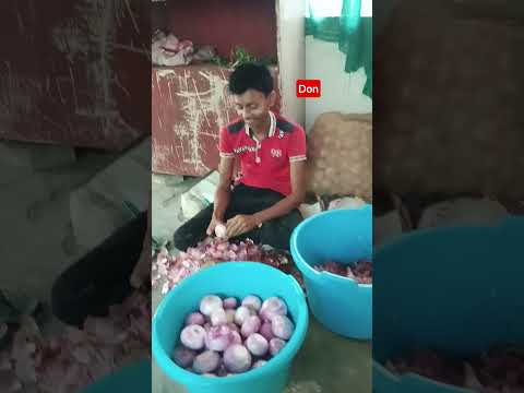 onion sergeant#share #viralvideo