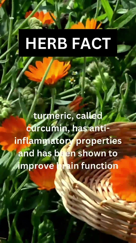 what-else-helps-with-pain-leave-a-comment-shorts-herbs-youtube