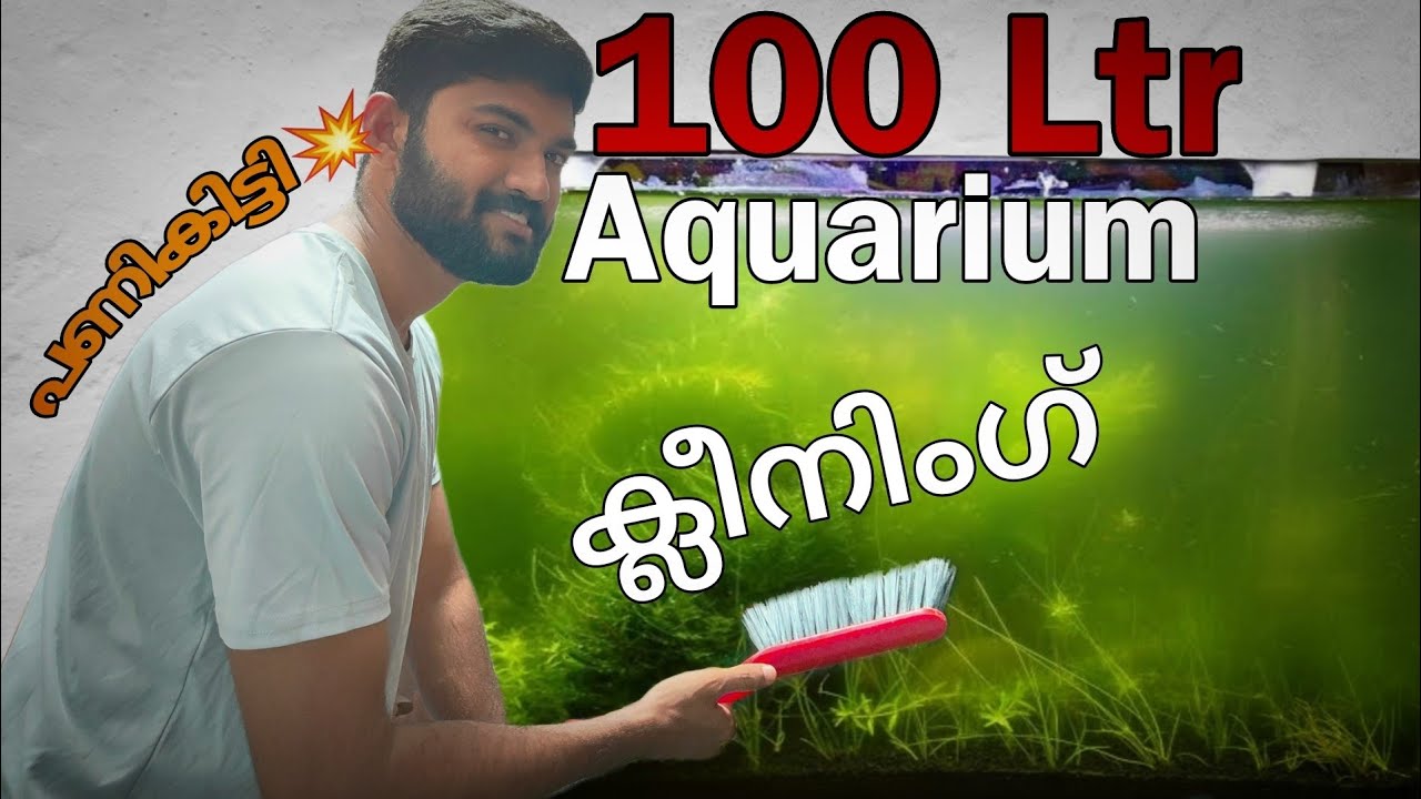 100L അക്വേറിയം ക്ലീനിംഗ് How to Clean Dirty Fish Tank Maintenance