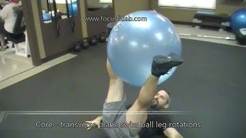 Core : transverse plane swiss ball leg rotations
