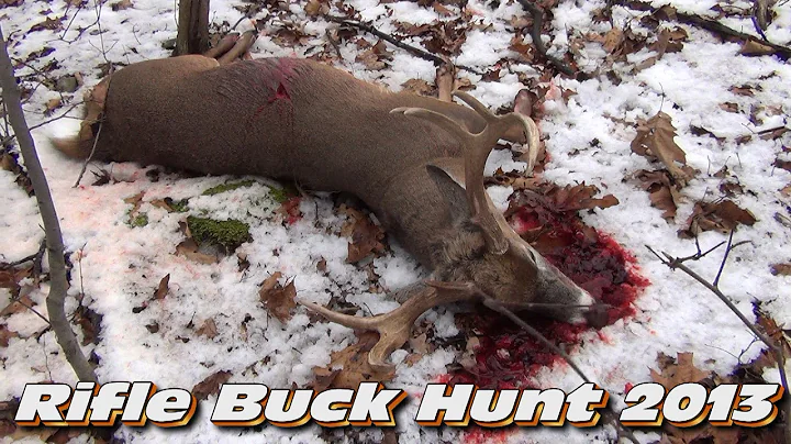 2013 Rifle Deer Season Shane's Buck