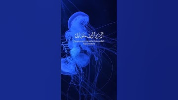 قران كريم بصوت جميل #قران_كريم #قرآن #اكسبلور #quran #دويتو