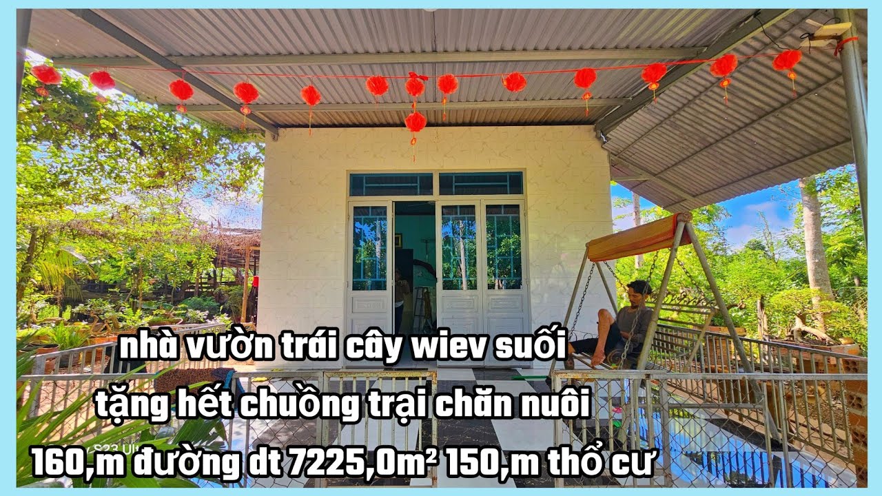Nhà vườn trái cây tặng hết chuồng trại chăn nuôi 160×77×150,m thổ cư giá 1 tỷ 100tr bao sổ