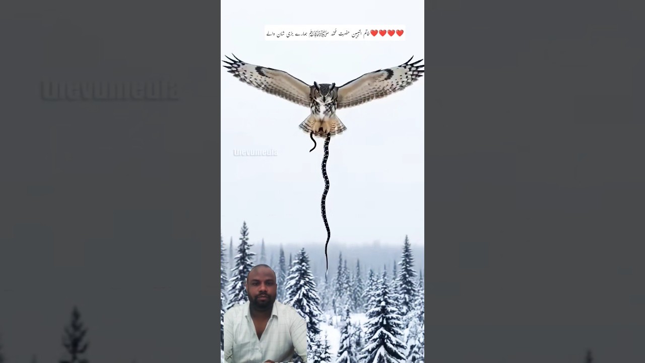 Here’s a suggested description and set of hashtags you can use for your Naat Sharif video titled som