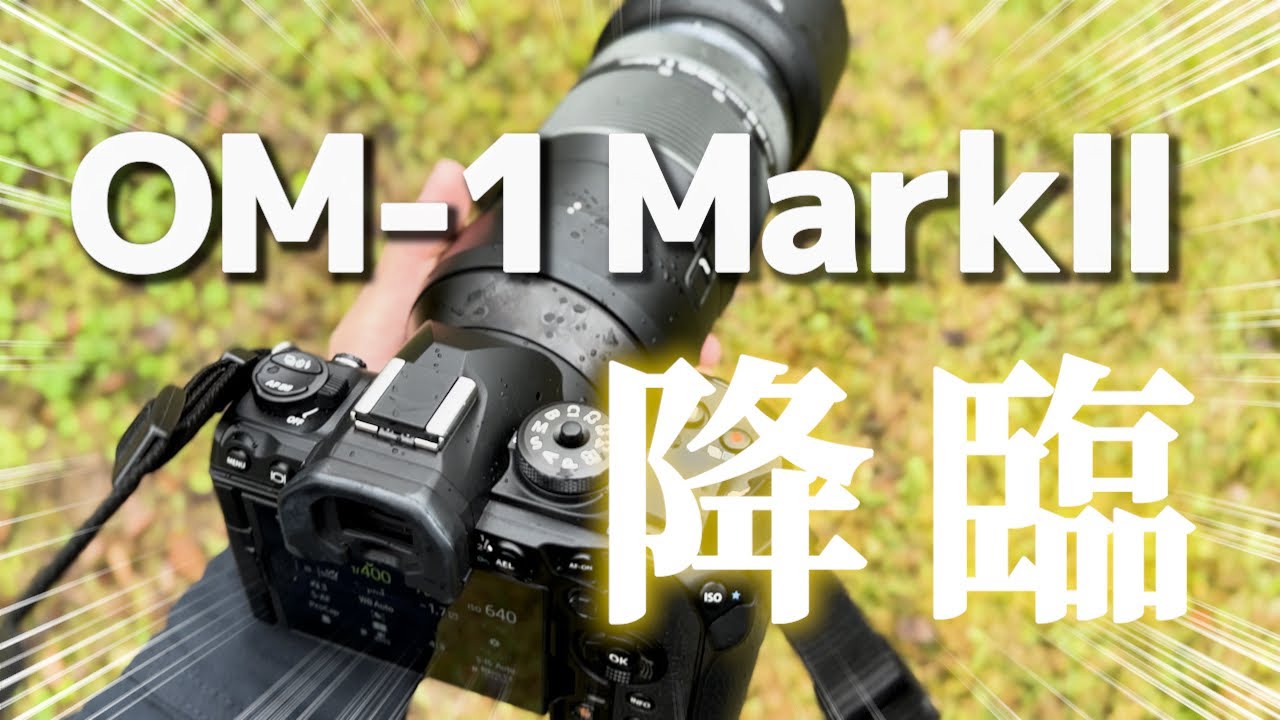 最新のマイクロフォーサーズで雨の中野鳥撮影をすると…【OM-1 MarkⅡ】