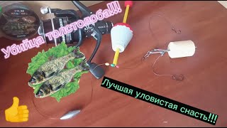 Снасти на толстолобика от А до Я. Самый уловистый монтаж👍!!! Убийца толстолоба!!!