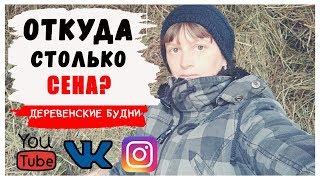 Деревенские будни. Кот крысолов. Забили крольчатник сеном. Жизнь в деревне Деревенские будни. Кот крысолов. Забили крольчатник сеном. Жизнь в деревне