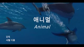 영화 '애니멀 Animal' 공식예고편                                         감독 시릴 디옹  수입배급 플랫폼C