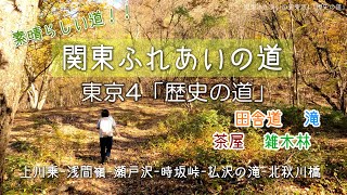 【関東ふれあいの道】東京4「歴史の道」素晴らしい雑木林の登山道と田舎の良い雰囲気の道で低山を繋げて歩く