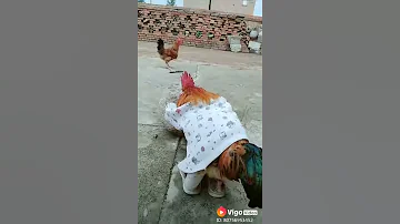 عطيب الضرايب مايخذله نيشانه هههههه Just Me 