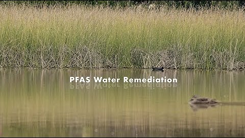 PFAS Water Remediation