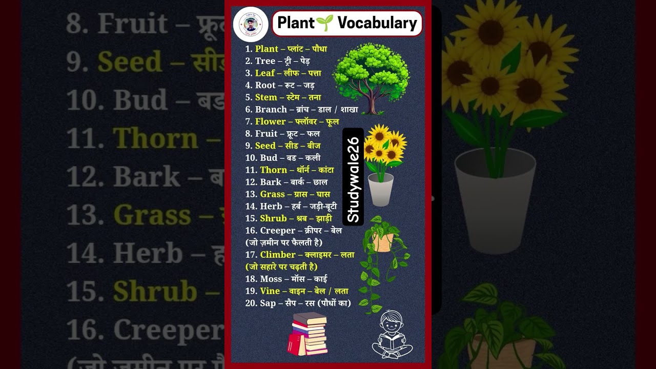 PLANT VOCABULARY 😱😱 