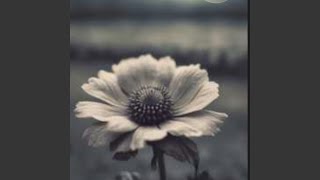 Terluka Lagi Hati Ini