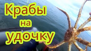 Камчатский краб пытался украсть мою камеру