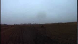 Saskatchewan 2014 Gopro Goose Hunt by Valley Ag Pilot 113 views 9 years ago 6 minutes, 57 seconds