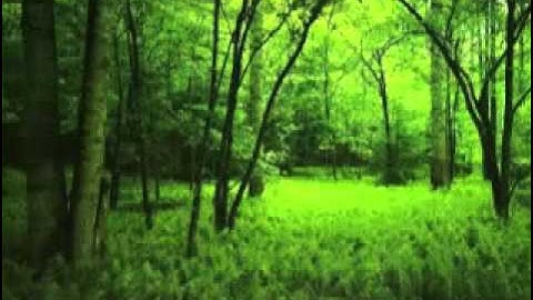 محمد البراك سورة الإنسان كامله YouTube