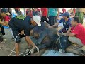 Hari raya qurban 1444 H Masjid Al Mansur Kedungombo Tuban