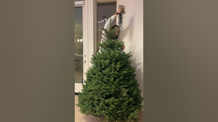 Как накрутить гирлянду на елку, сохраняйте туториал🎄 #новыйгод #елка#гирлянда#туториал#лайфках