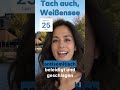 Sturmböen, antisemitischer Übergriff, Zeitreise im Peter Edel:: News aus #weißensee.